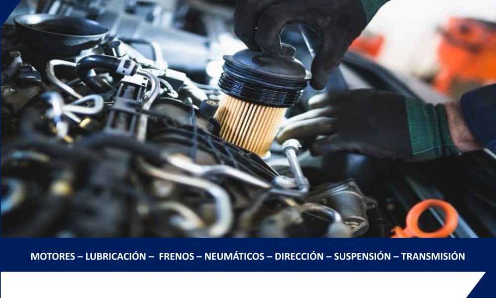 TMVG012PO - MECÁNICA RÁPIDA Y REPARACIÓN DE AUTOMÓVILES T