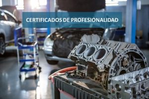 Certificados de profesionalidad