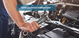 Especialidades formativas