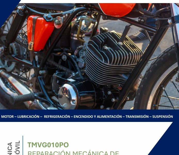 TMVG010PO Reparación mecánica de motocicletas